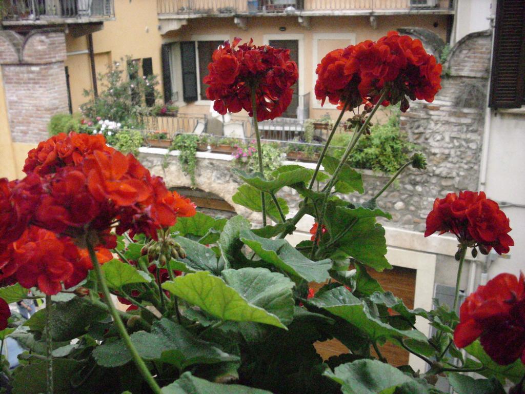 Gasthof A Casa Di Luca