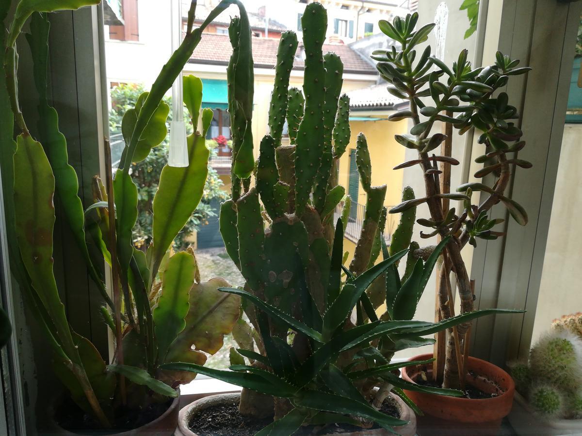 A Casa Di Luca Gasthof *