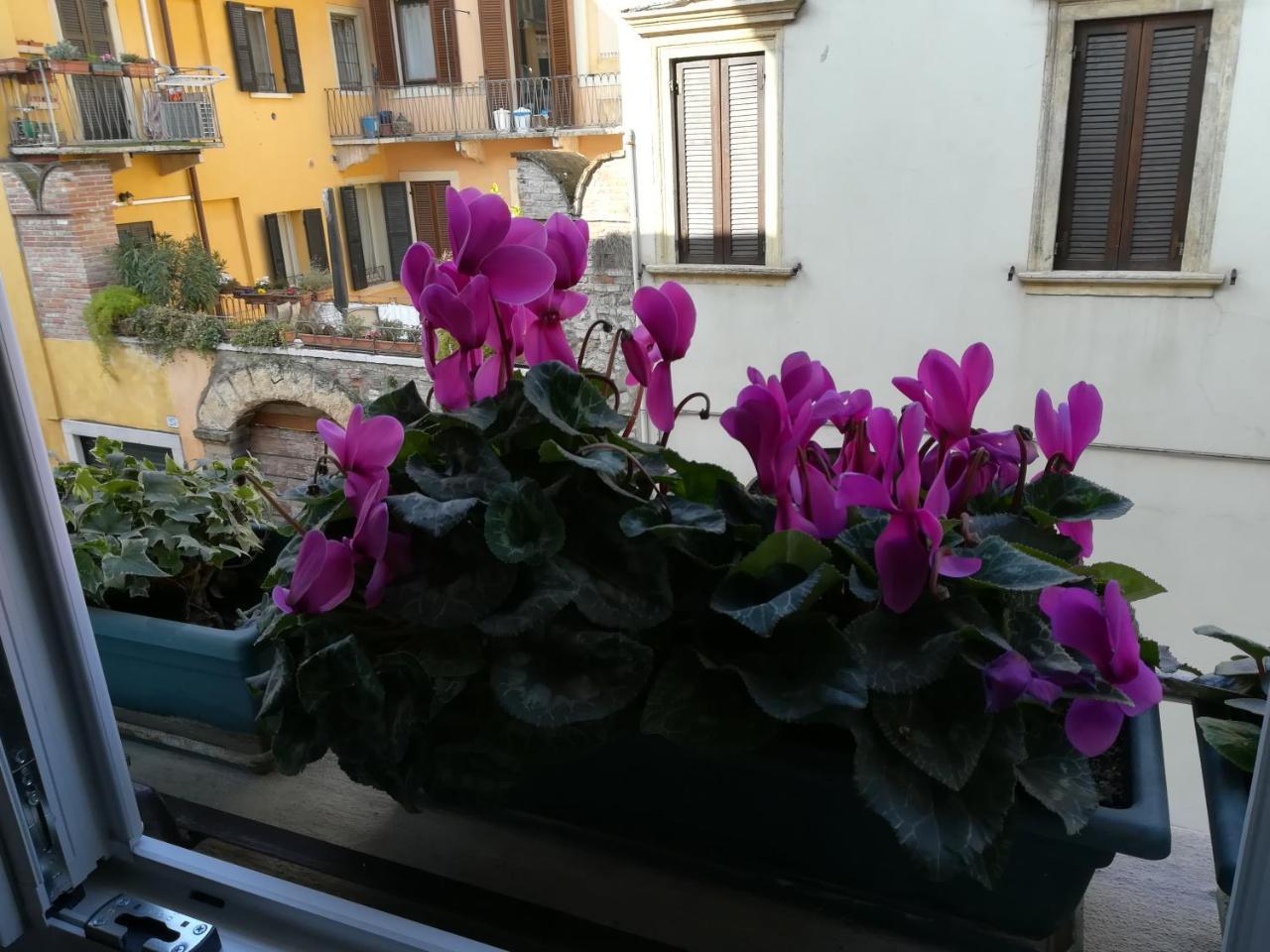 A Casa Di Luca Gasthof *